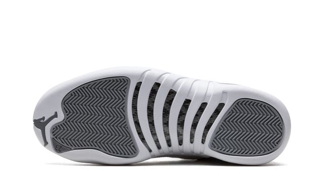 Jordan 12 Stealth