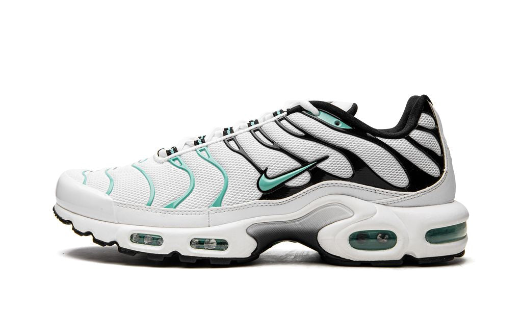 Nike Air Max Plus Atmos