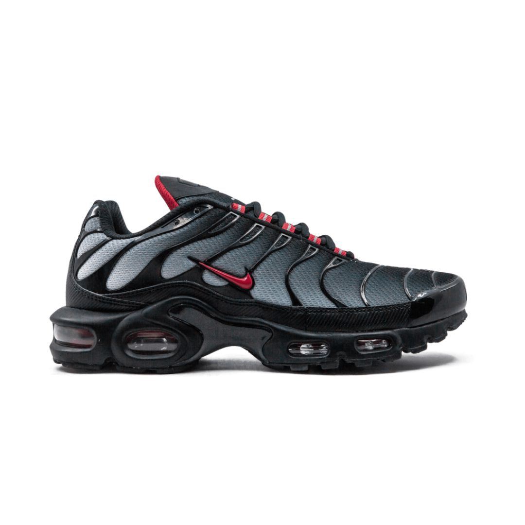 Nike Air Max Plus Azul y Rojo