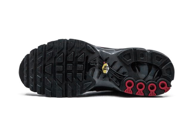 Nike Air Max Plus Azul y Rojo