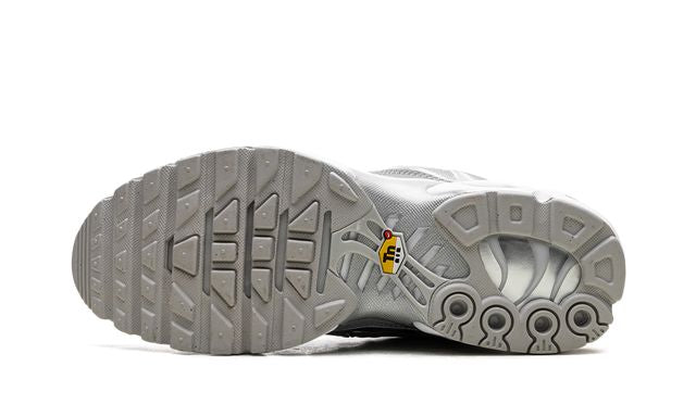 Nike Air Max Plus Metallic Silber