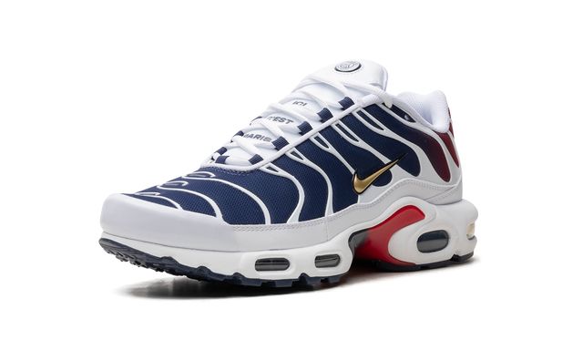 Air Max TN Plus PSG 