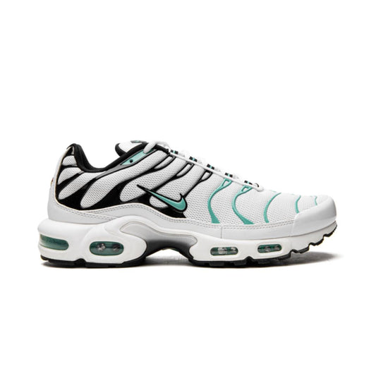 Nike Air Max Plus Atmos 