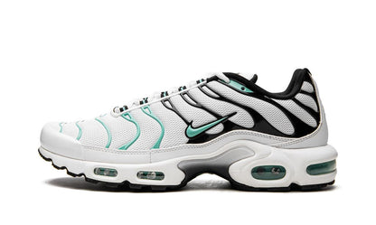 Nike Air Max Plus Atmos 