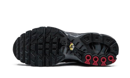Nike Air Max Plus Azul y Rojo 