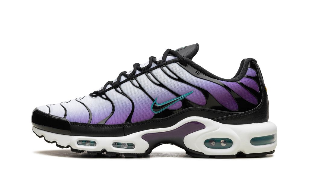 Nike Air Max Plus Reverse Grape 